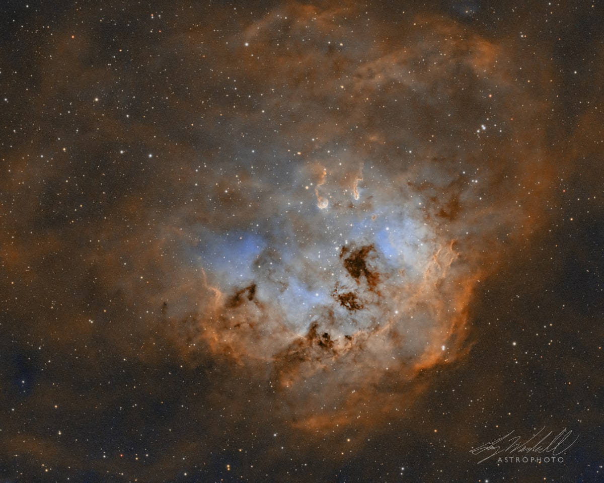 Tadpoles Nebula in Hubble Palette by Gary Woodall 