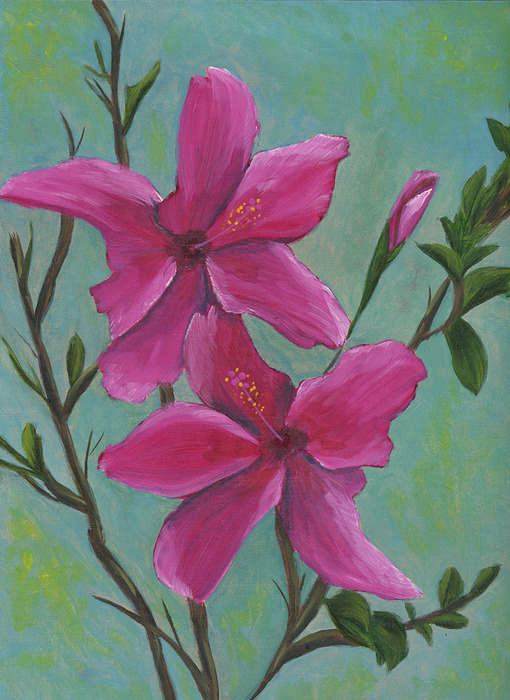 Hibiscus by Shannon Yoo, Image 2.