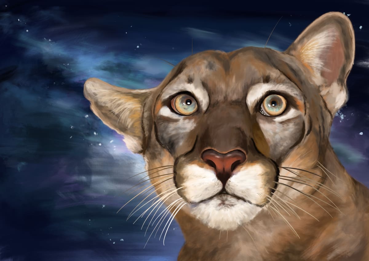 Hopeful by Yuki Zhang, Image 2.