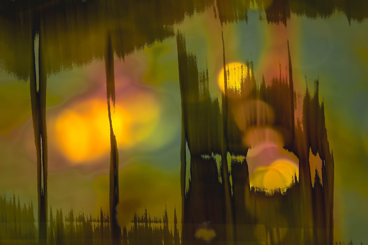 Mystery in the Forest by Ellen Zimmerman, Image 14.