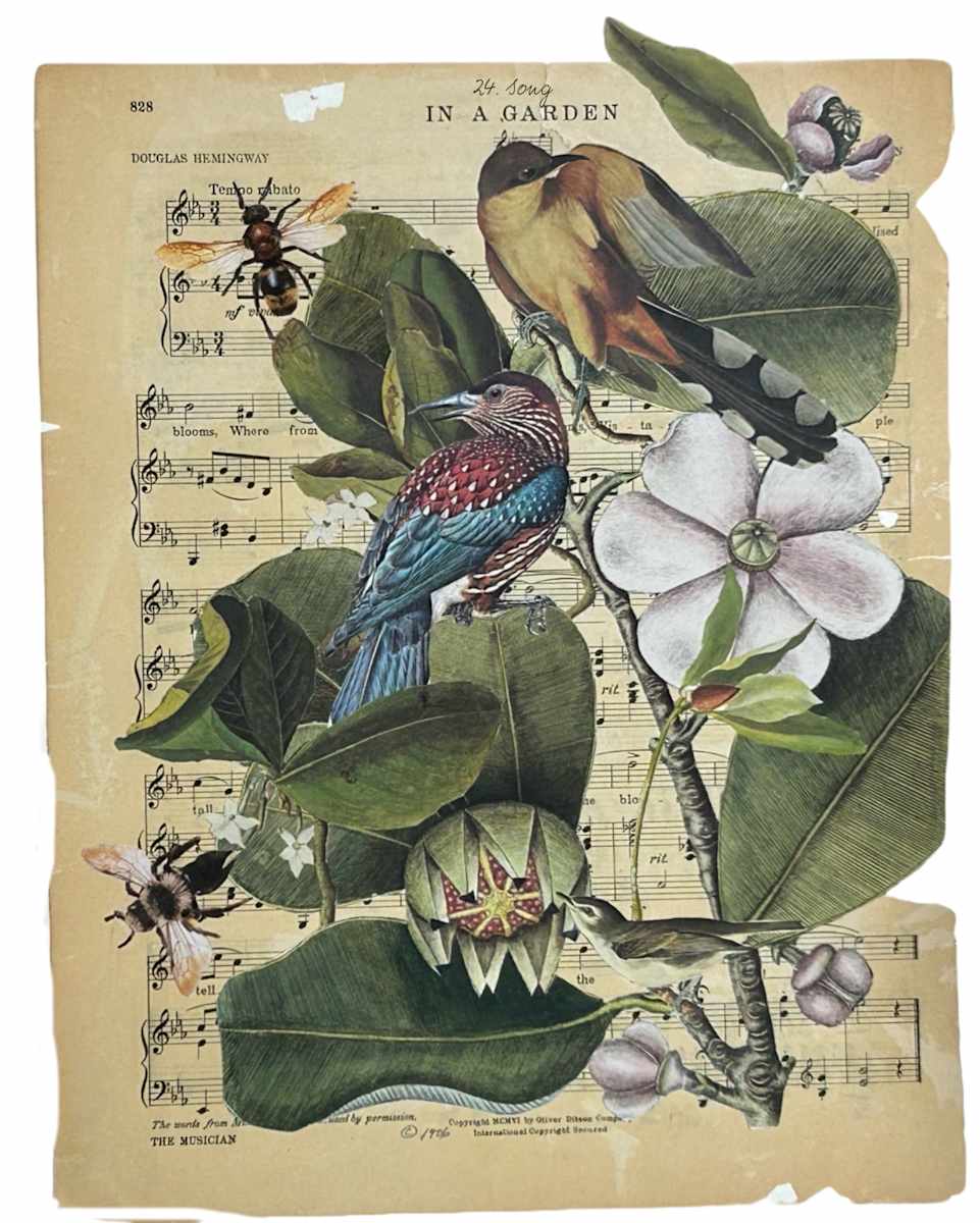 In the garden by Stacey Zimmerman 