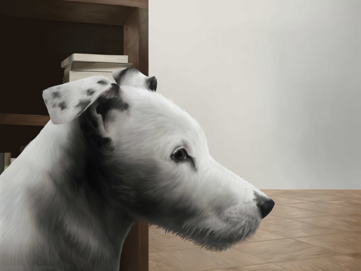 Poquito by Zoey Anthony-Redman, Image 14.