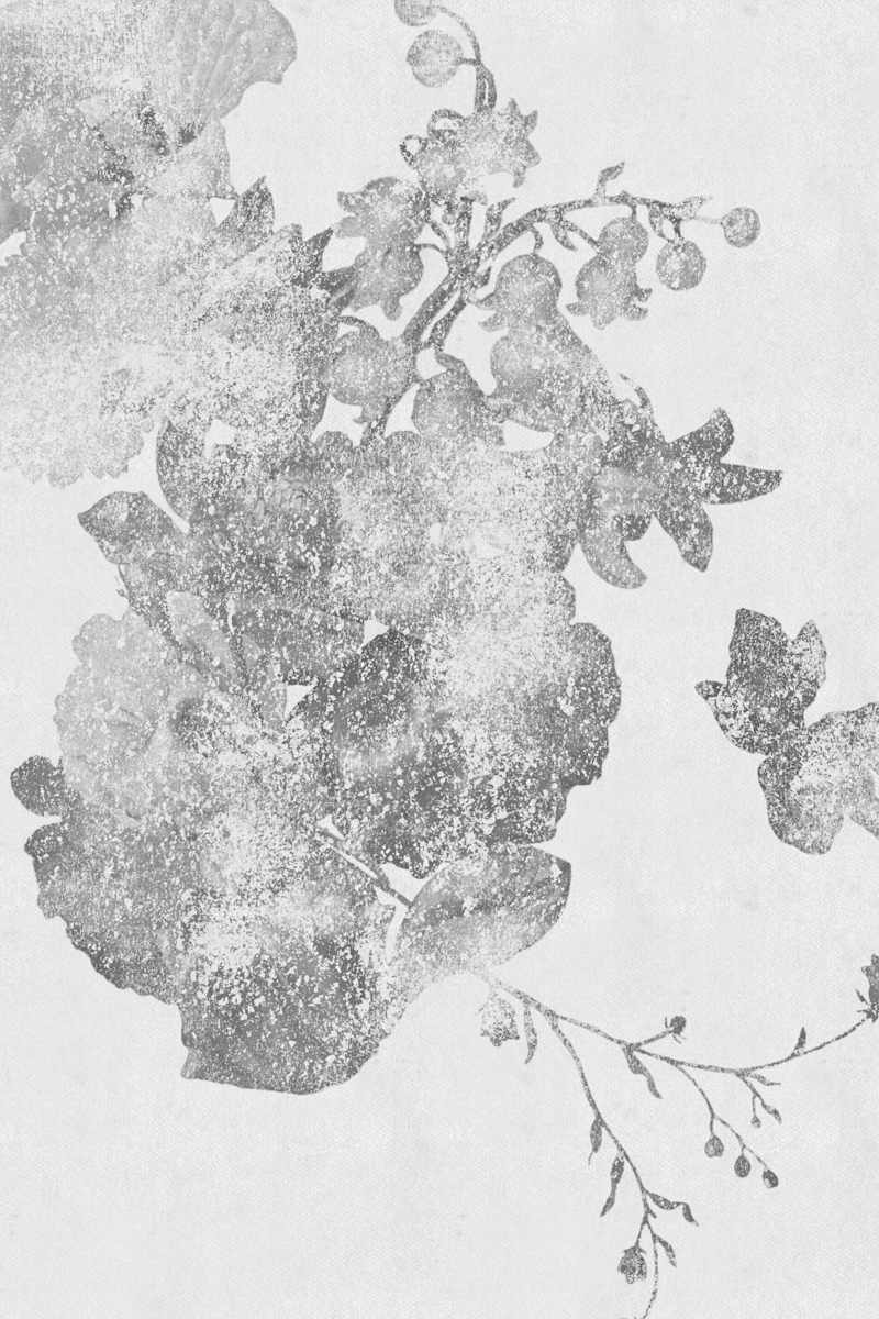 Pressed In Time by Yinxue Zou 