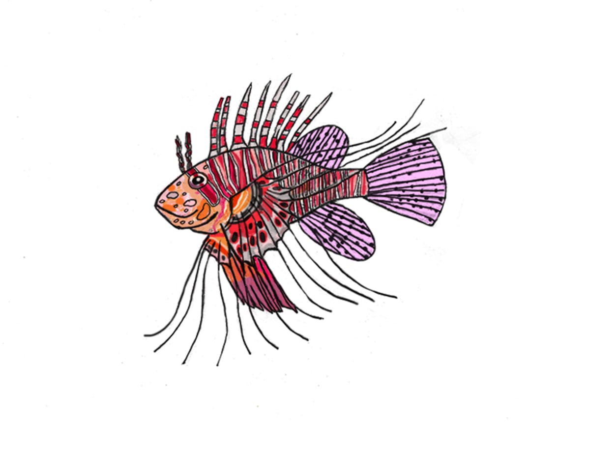 Mombasa Lionfish by Neil Chatterjee, Image 1.