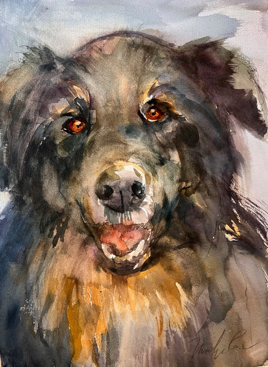 Owen 