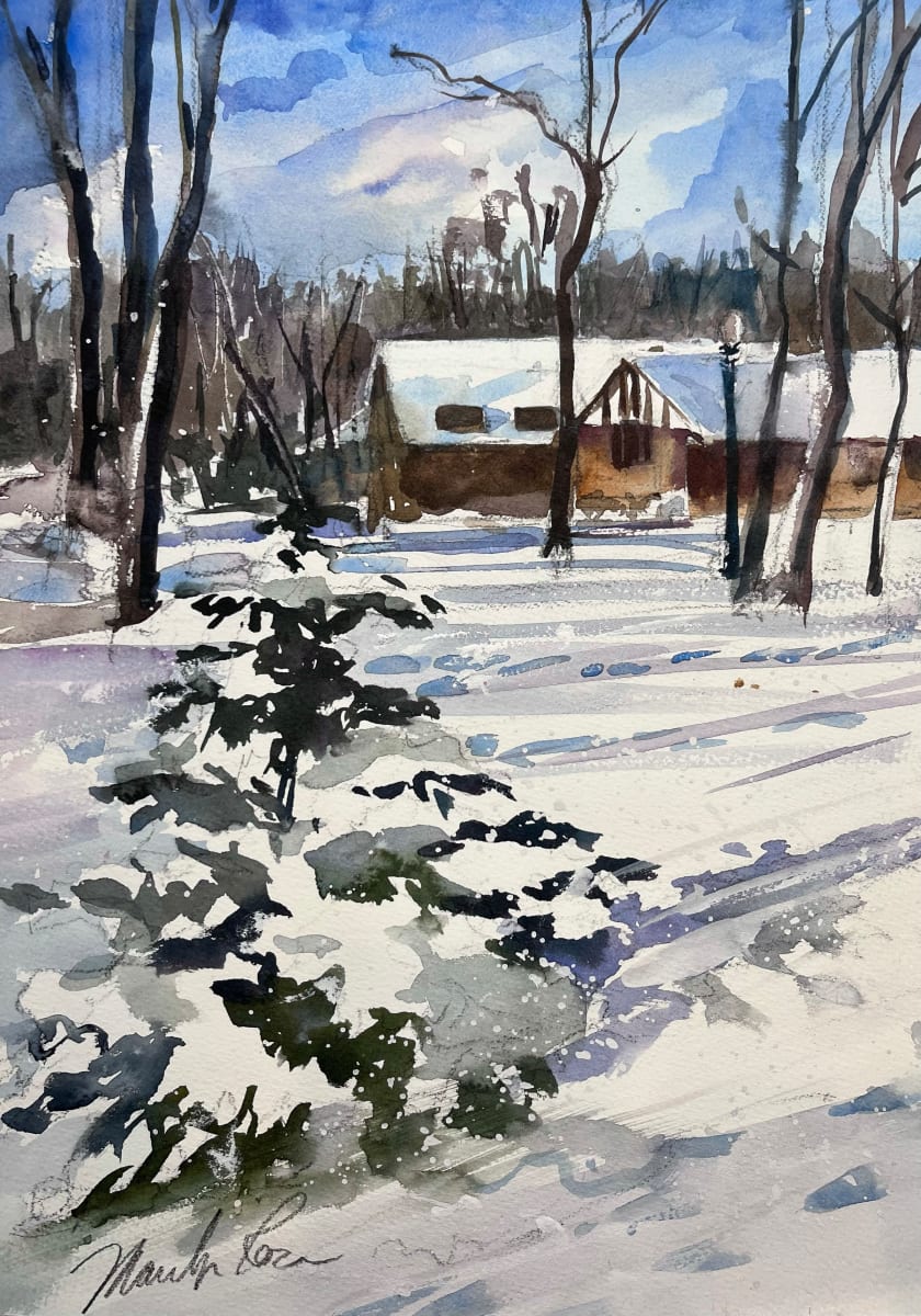 Snowy Day in Verona Park 