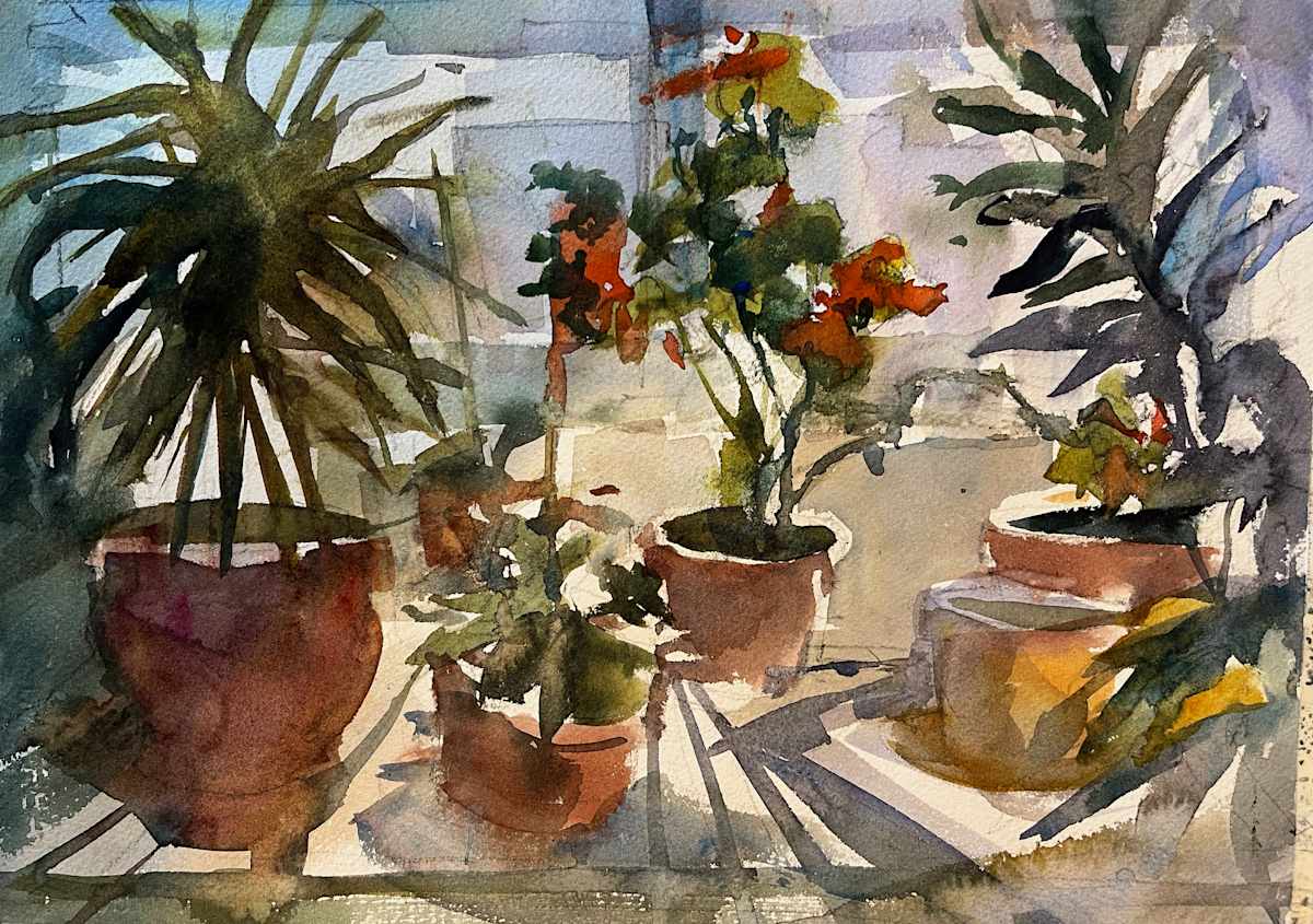 Letting the Light In by Marilyn Rose 