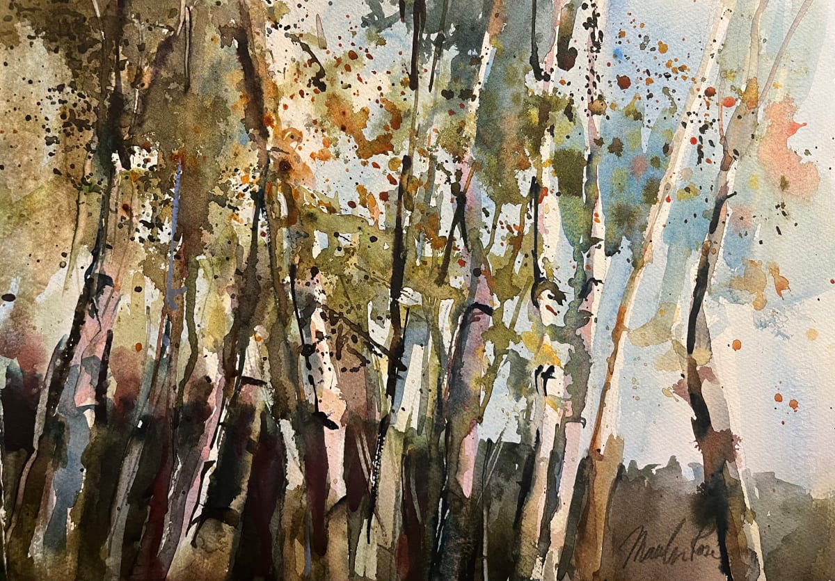 Birches #1 by Marilyn Rose 