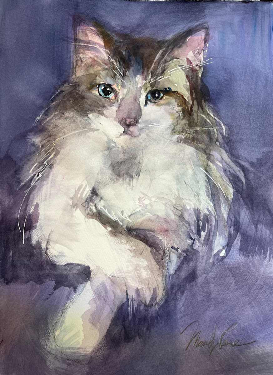 Freya’s  cat by Marilyn Rose 
