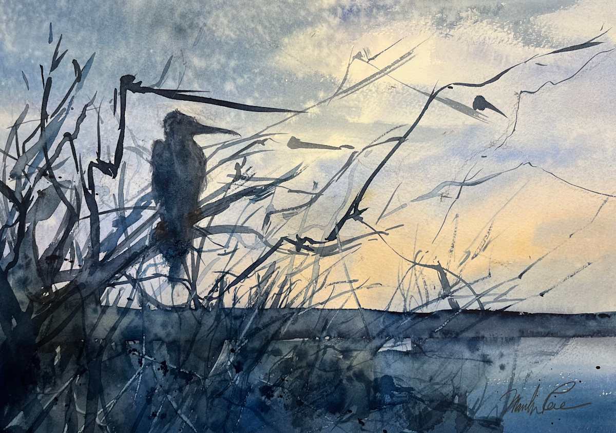 Evening in the Galapagos by Marilyn Rose 