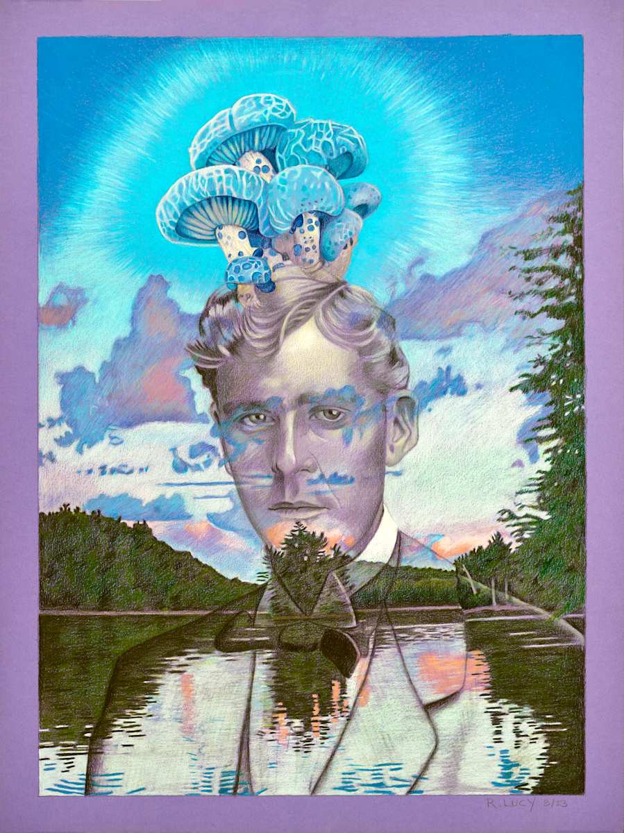 Mushroom Man by Robert Lucy 