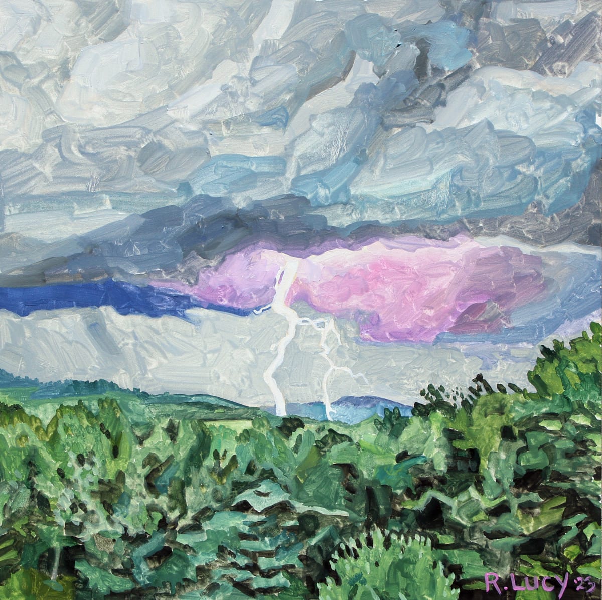 Catskill Storm by Robert Lucy 