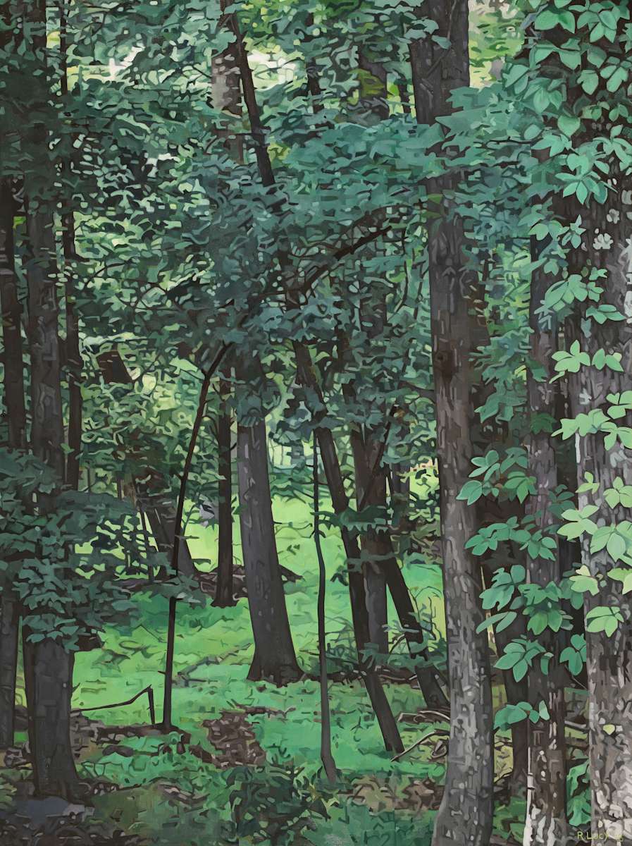 Catskills I, Image 1.