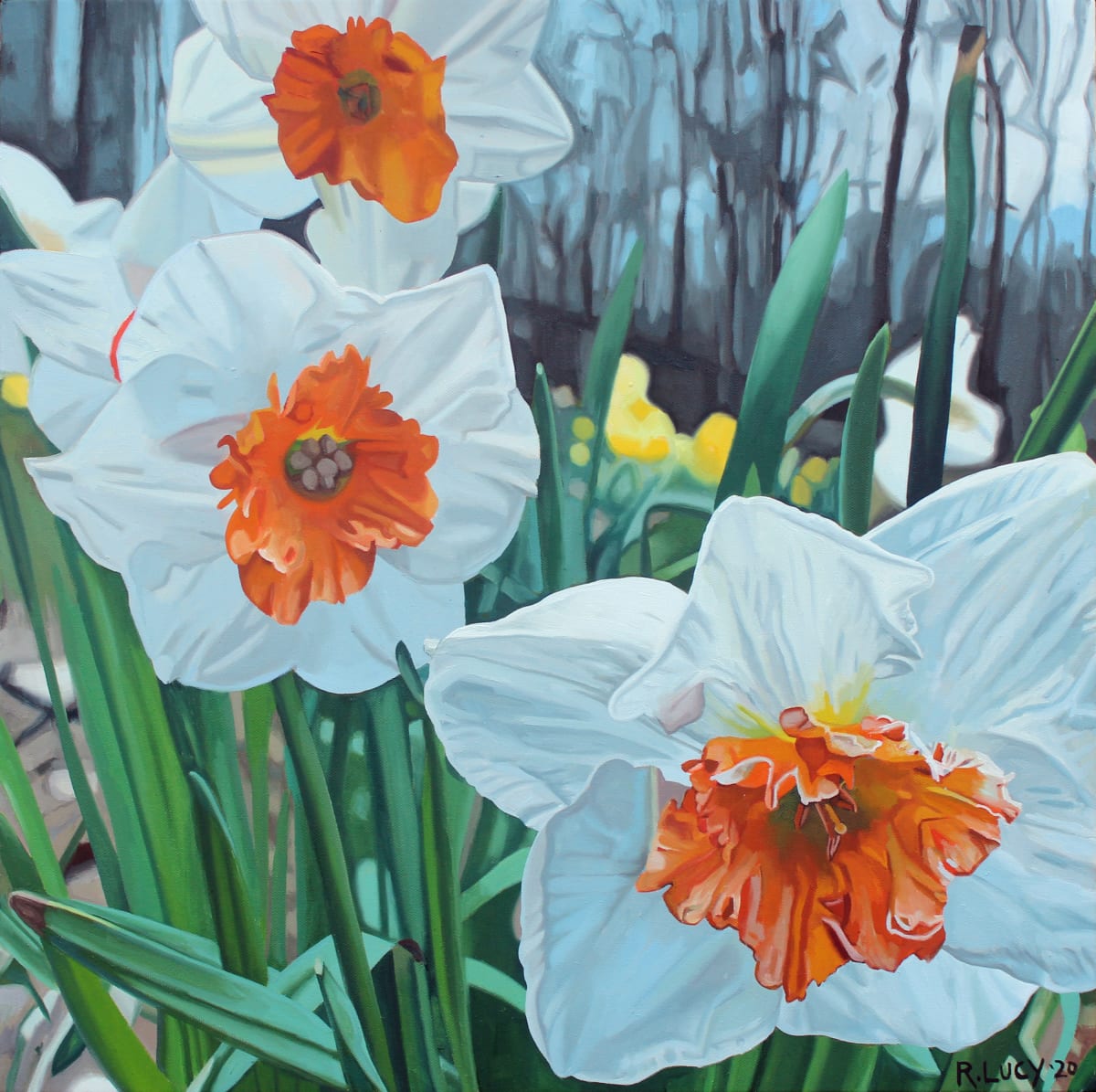 Daffodils II, Image 1.
