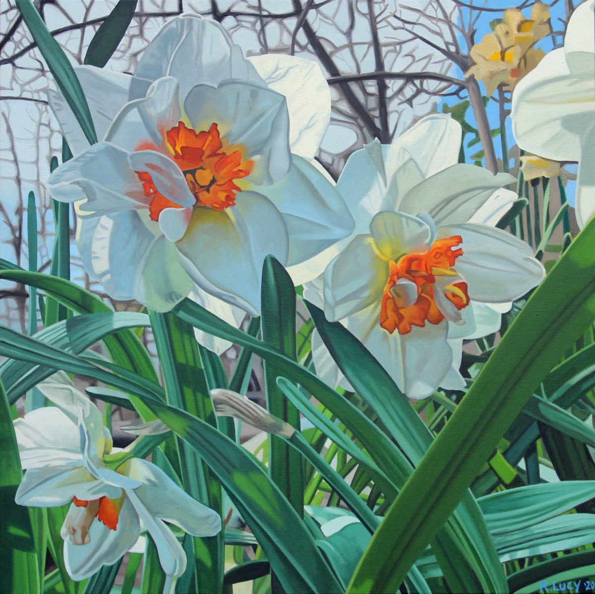 Daffodils I, Image 1.