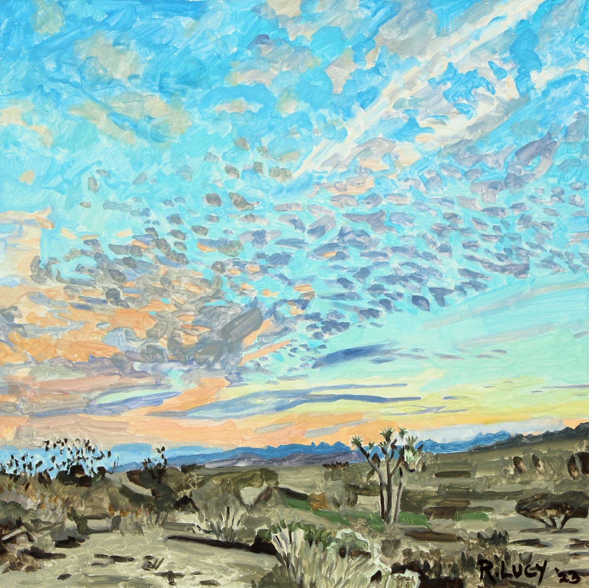 Desert Sunset by Robert Lucy 