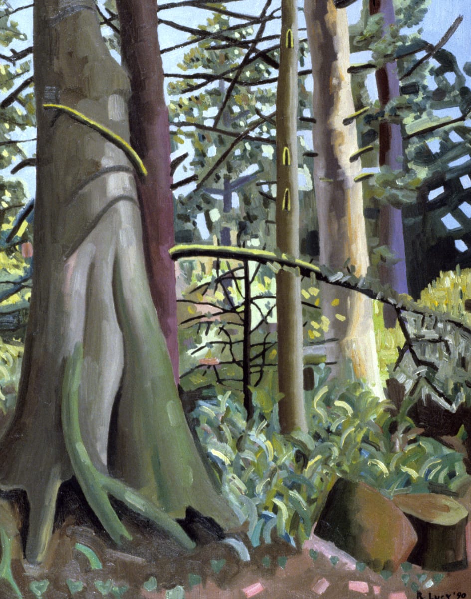 Forest 