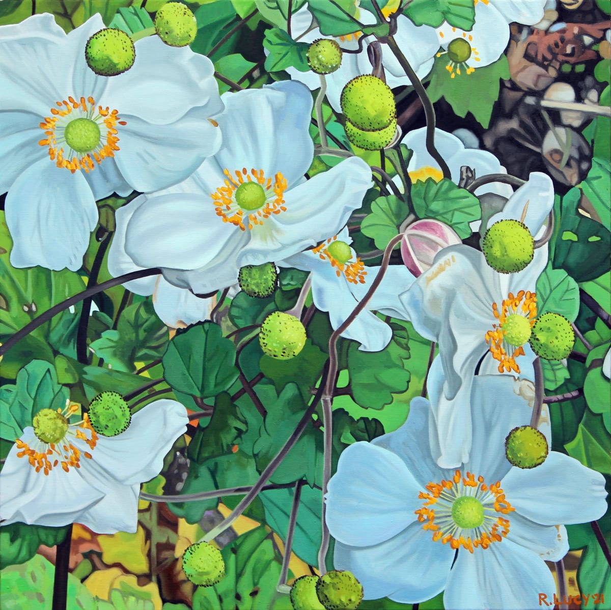 Japanese Anemones (The Mount) 