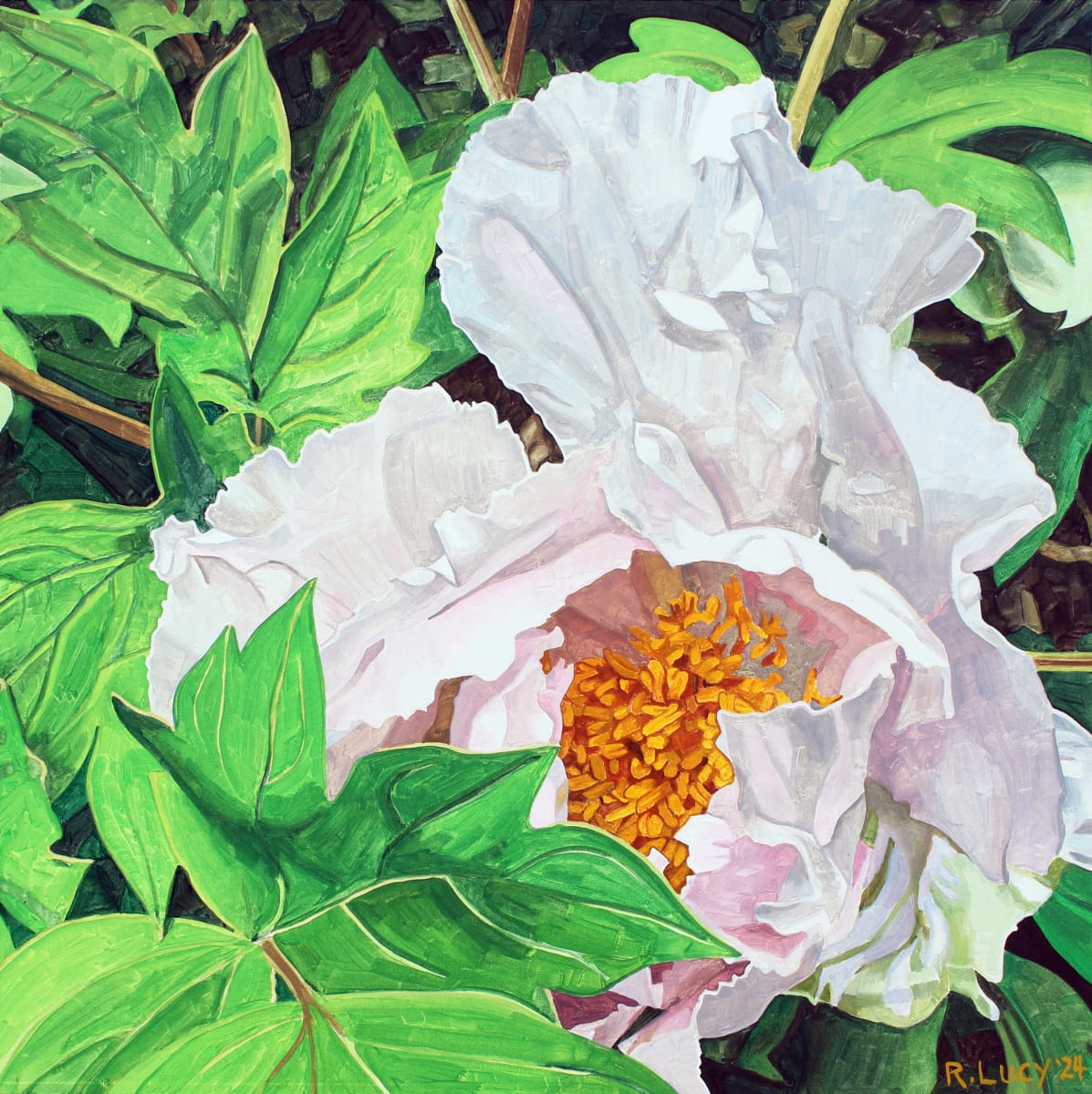 Peony in the Wild by Robert Lucy 