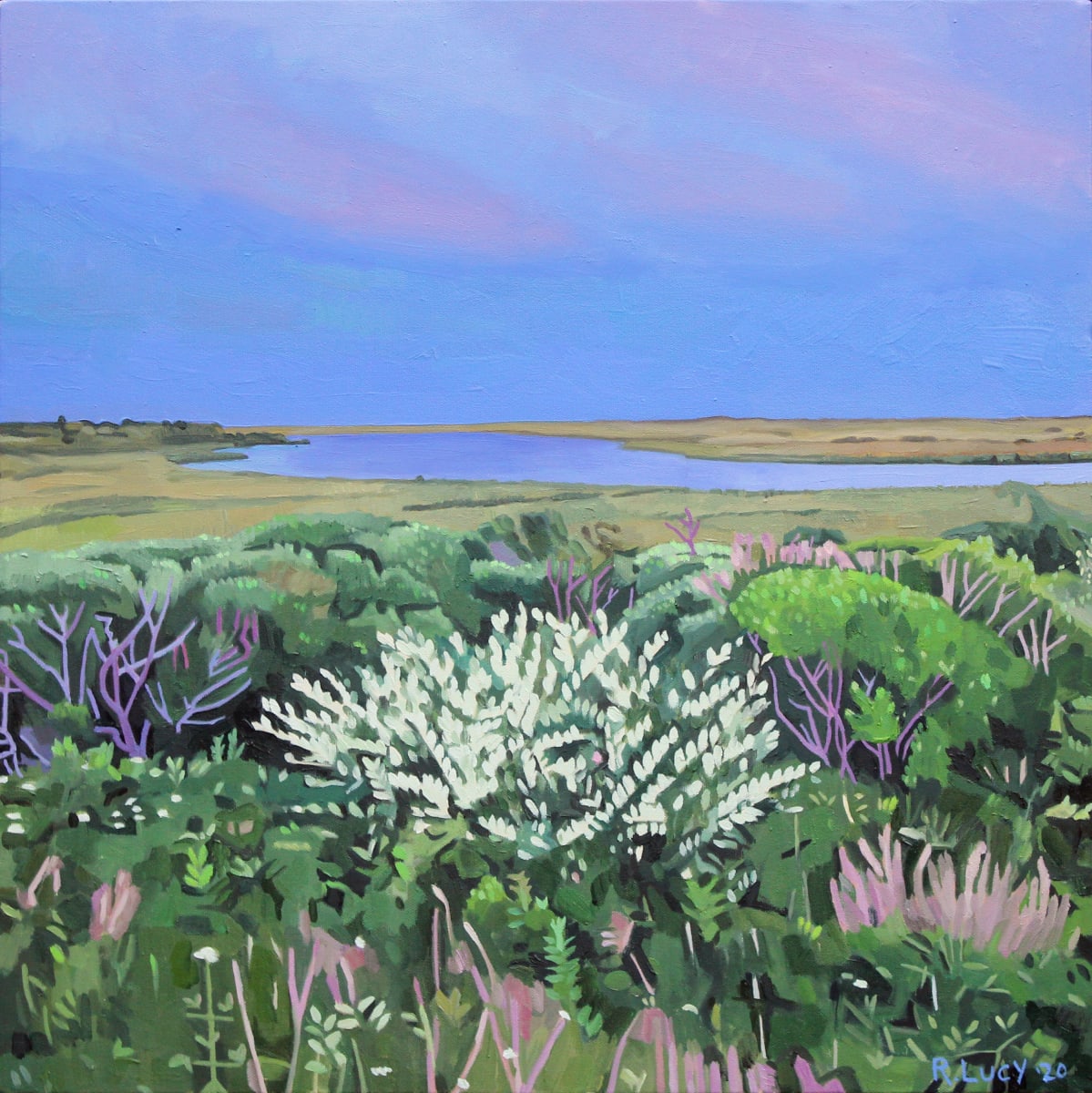 Purple Sky, Martha's Vineyard (Canvas) 