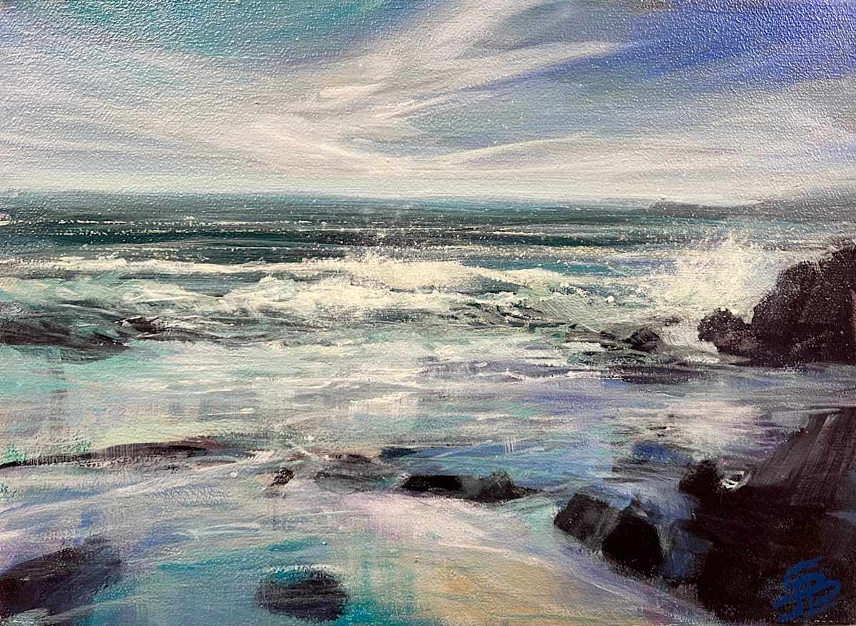 The only limit by Sarah Jane Brown 