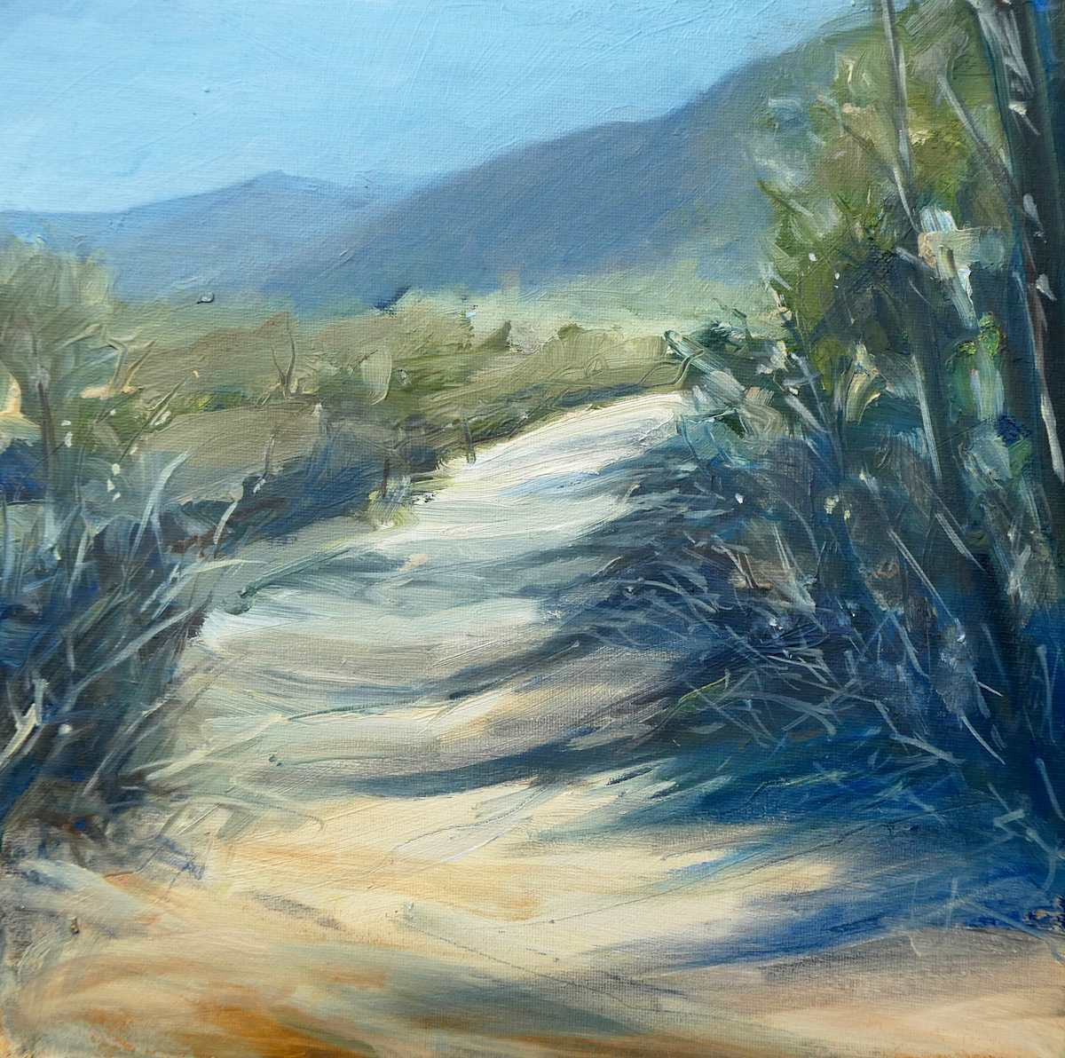 The white road by Sarah Jane Brown, Image 1.