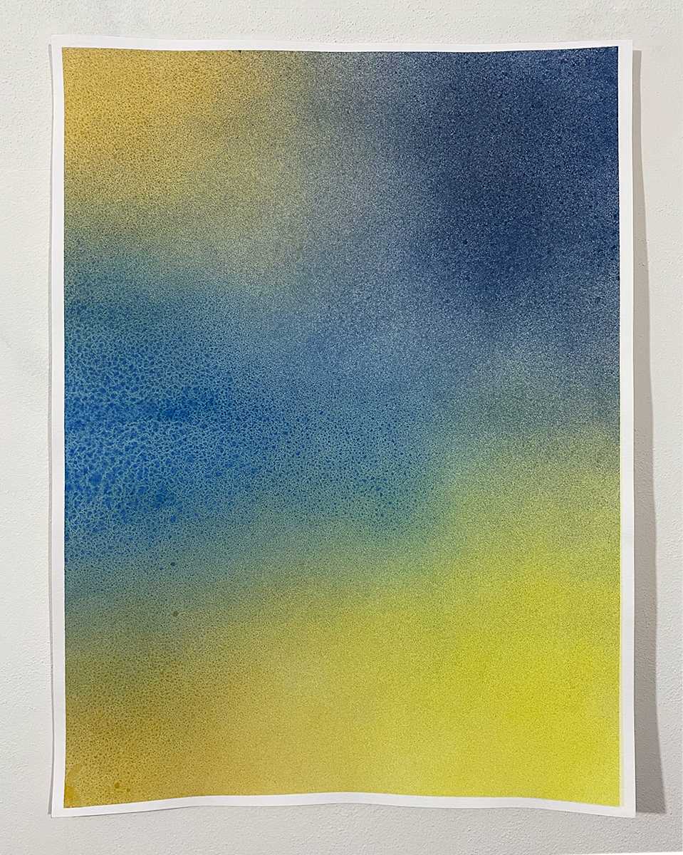 No. 295, Image 3.