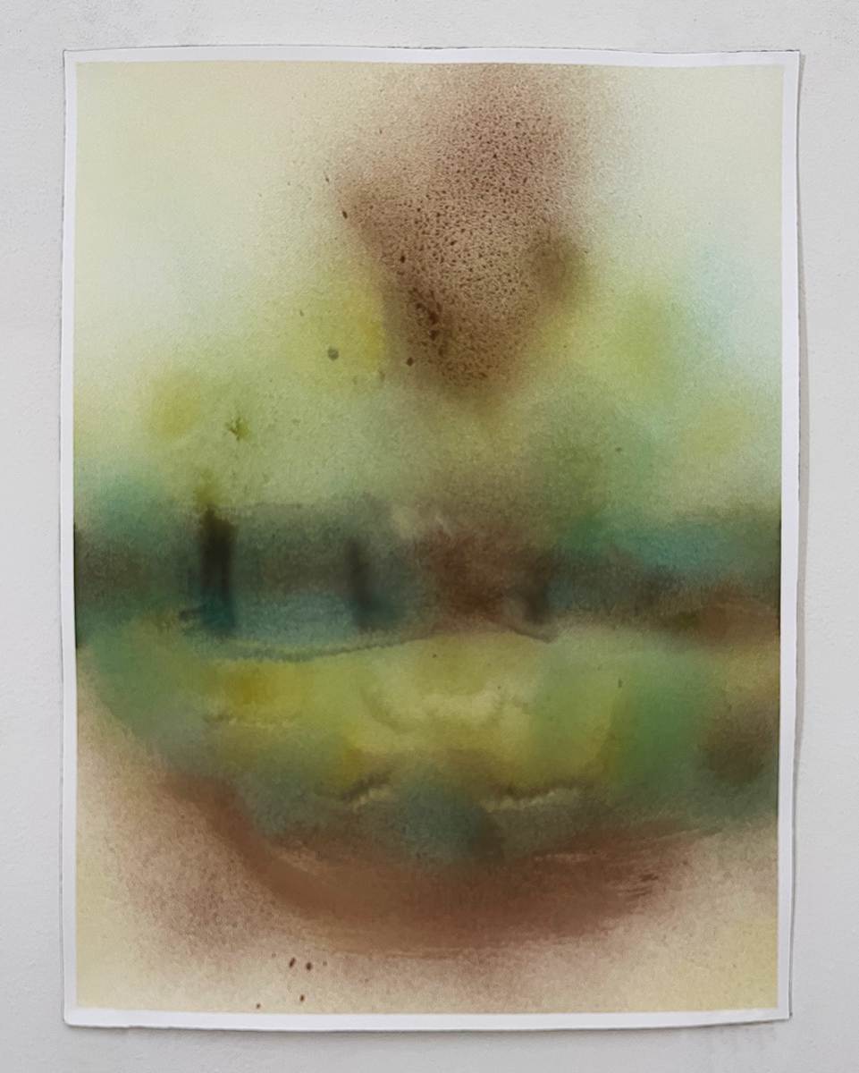 No. 304 (Lips 2), Image 4.