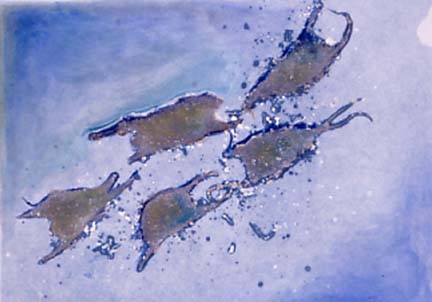 Skate Pond 1 by Casey Blanchard 