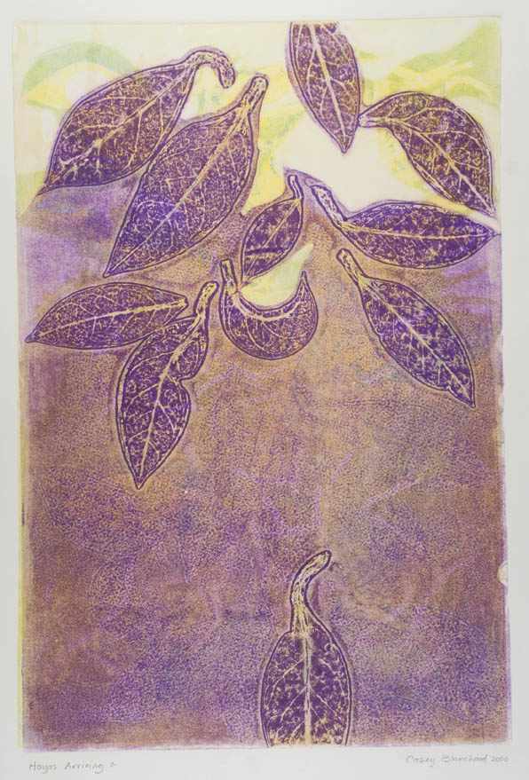 Hoya's Arriving 2 by Casey Blanchard, Image 1.