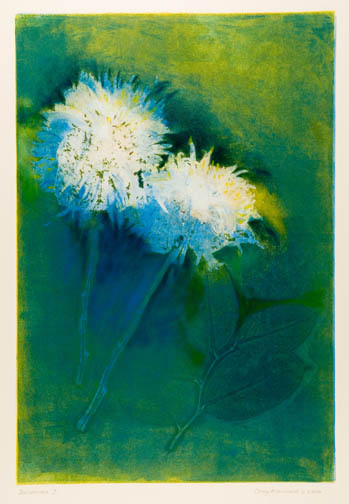 Dandelions 3 by Casey Blanchard 