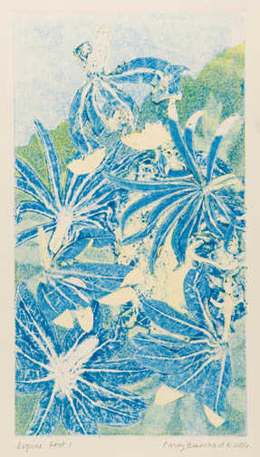 Lupine Fest 1 by Casey Blanchard, Image 1.