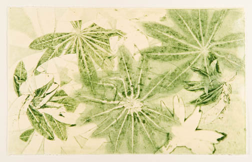 Lupine Fest 2 by Casey Blanchard 