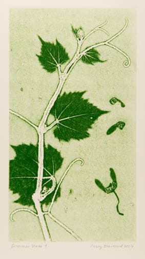 Summer Vines 4 by Casey Blanchard, Image 1.