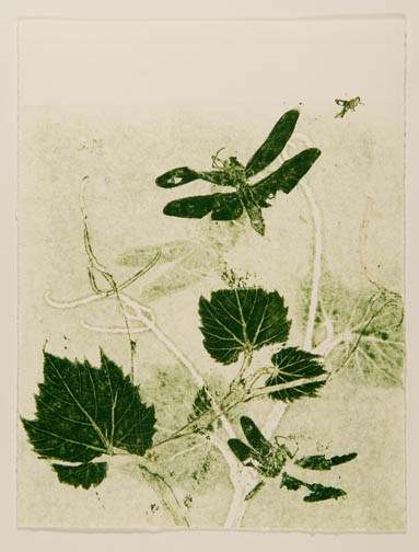Summer Vines 7 by Casey Blanchard 