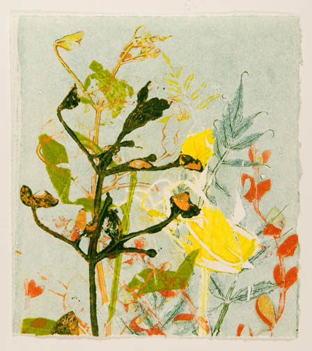 Summer Vines 8 by Casey Blanchard 