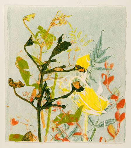 Summer Vines 8 by Casey Blanchard, Image 1.