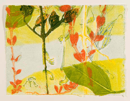 Summer Vines 9 by Casey Blanchard, Image 1.