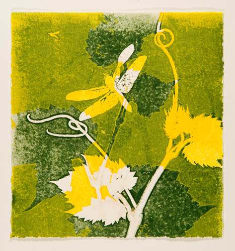 Summer Vines 10 by Casey Blanchard, Image 1.