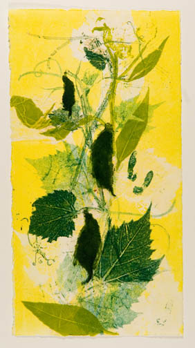 Shades of JoAnna's Garden 3 by Casey Blanchard 
