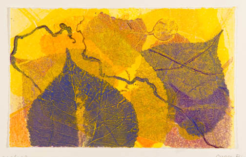 South Hero Poplar 2 by Casey Blanchard 