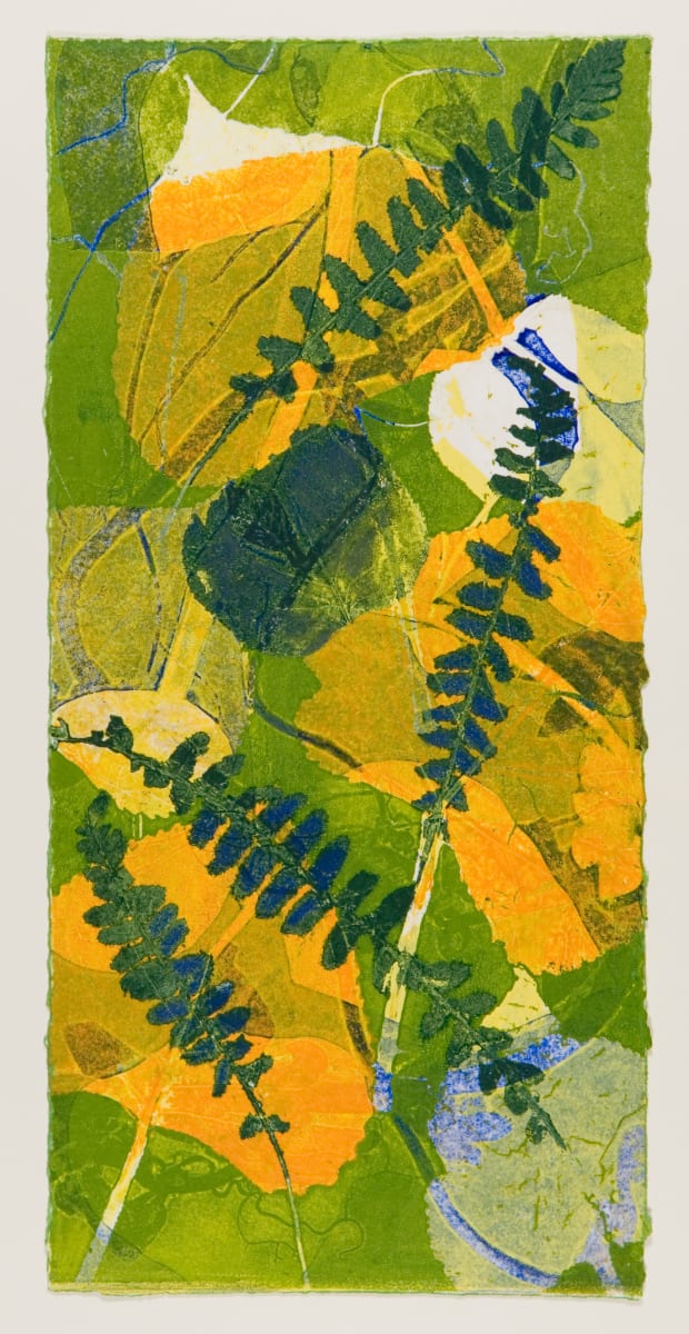 South Hero Poplar 9 by Casey Blanchard, Image 1.