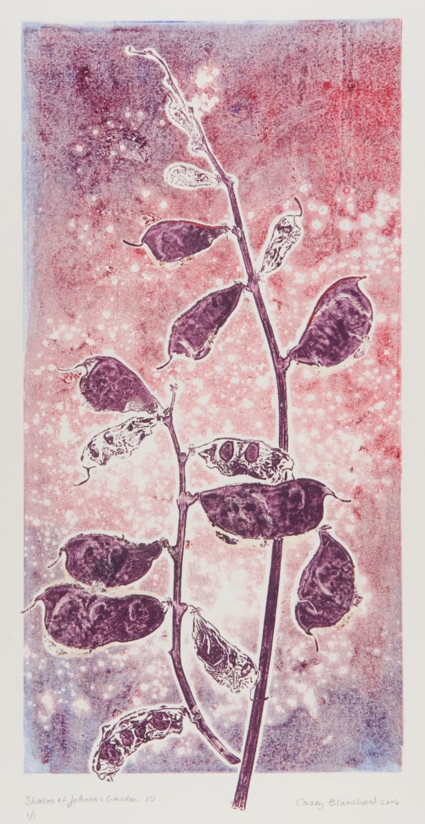 Shades of JoAnna's Garden 10 by Casey Blanchard 