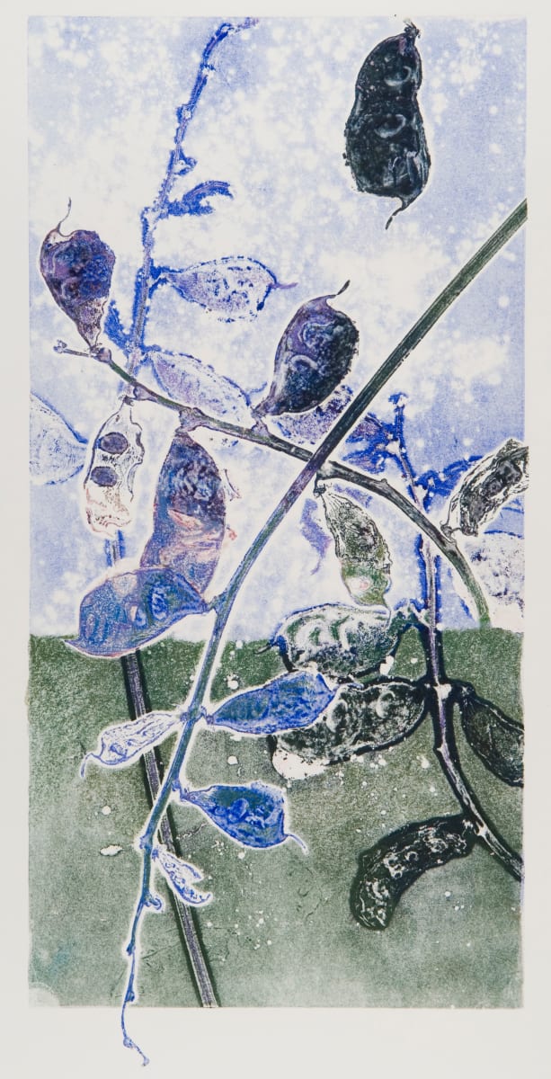 Shades of JoAnna's Garden 11 by Casey Blanchard 