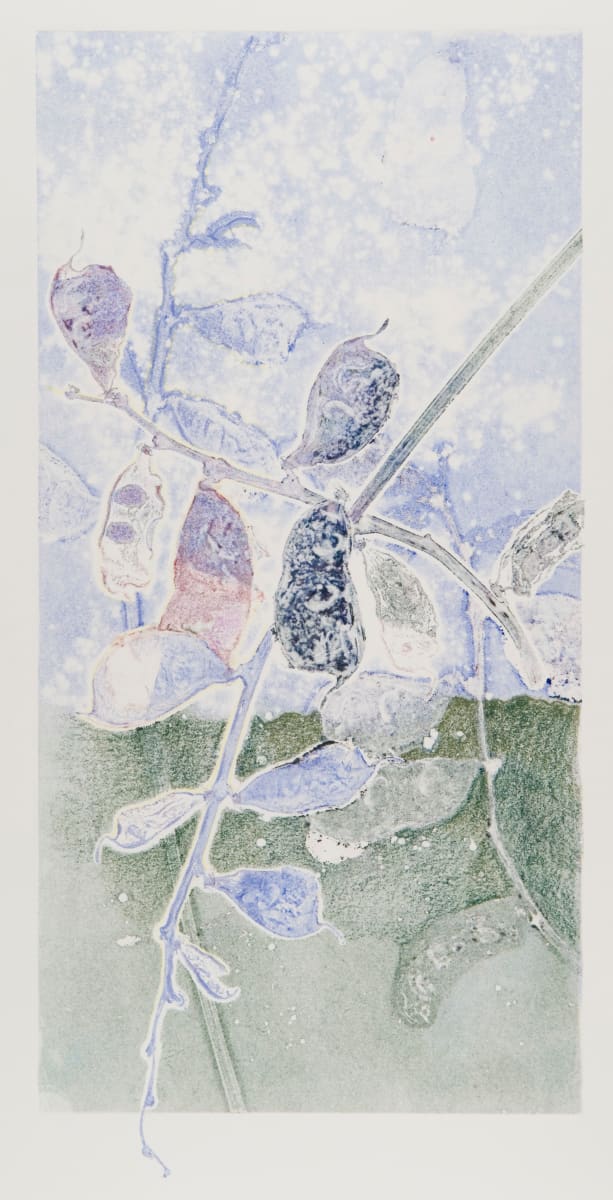 Shades of JoAnna's Garden 12 by Casey Blanchard 