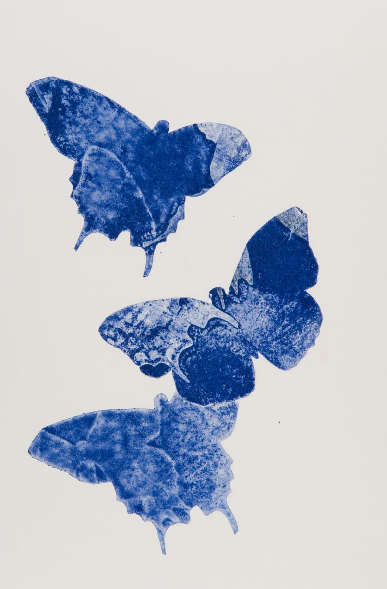 Butterfly Dance 5 by Casey Blanchard, Image 2.