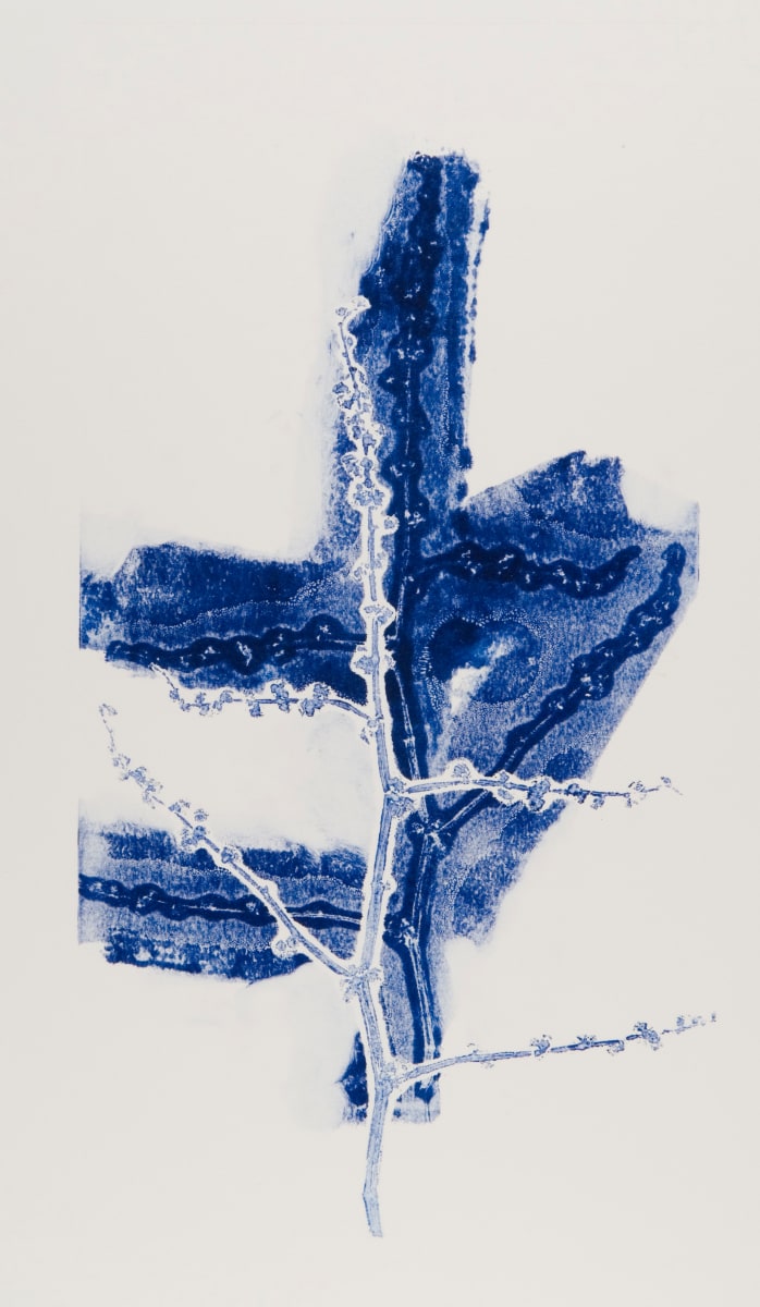 Shadow Dance by Casey Blanchard 