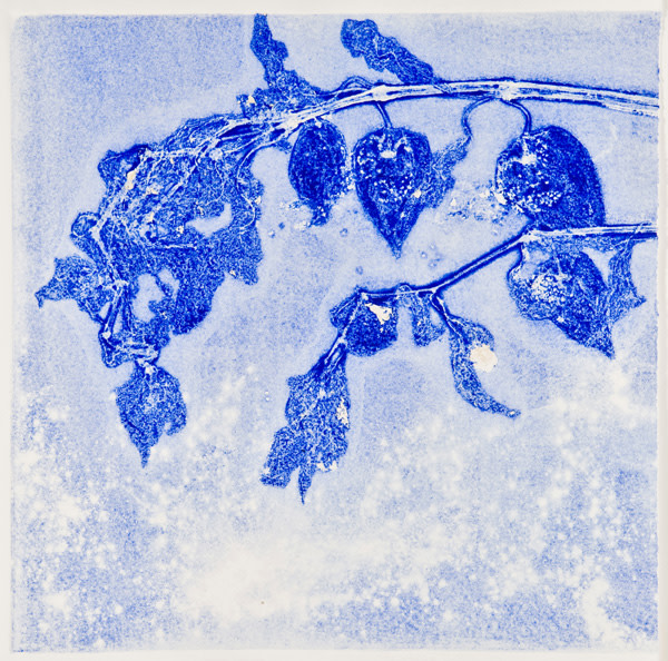 April's Garden 2 by Casey Blanchard 