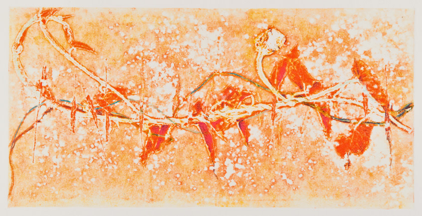 Summer Vines 19 by Casey Blanchard 