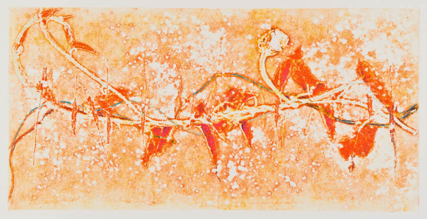 Summer Vines 19 by Casey Blanchard, Image 1.